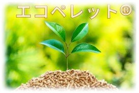 エコペレット.jpg